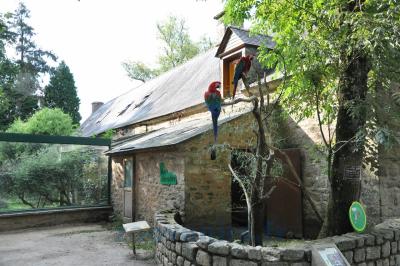 Ara chloroptére - 2014