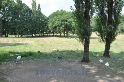 Plaine asiatique - 2014