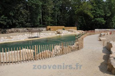 Phoque veau marin - 2014