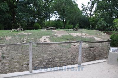 Chien de Prairie - 2014