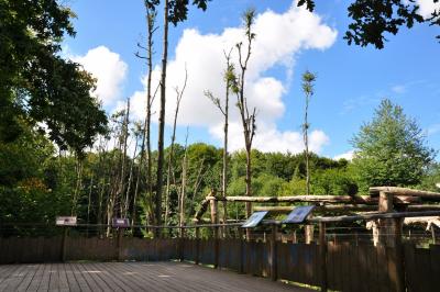 Ours à lunettes - 2013