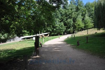 Kangourou roux - 2013