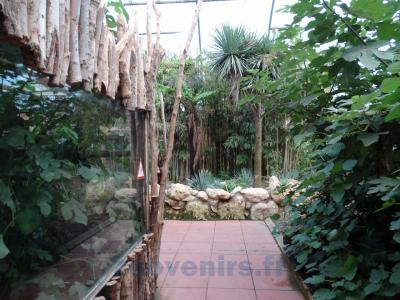 Serre tropicale - 2013