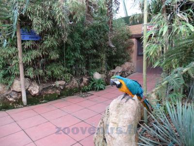 Serre tropicale - 2013