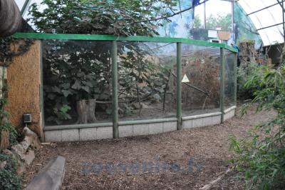 Tatou à 6 bandes - 2013