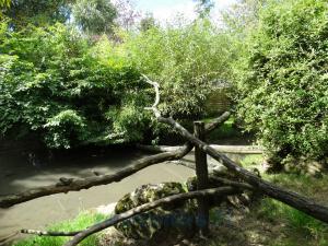 Volière  "Les ailes du Monde"