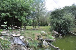 Volière  "Les ailes du Monde"