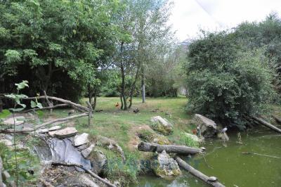 Volière  "Les ailes du Monde" - 2013