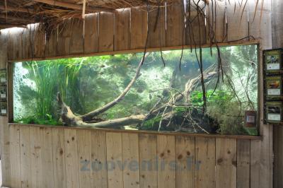 Bac amazonien - 2013