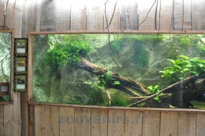 Bac américain - 2013