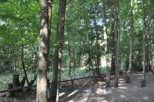 Maki catta - Calao terrestre