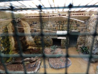 Installation petits oiseaux