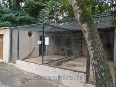 Volière des chouettes