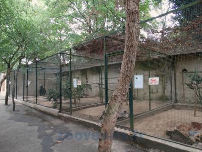 Volières des rapaces