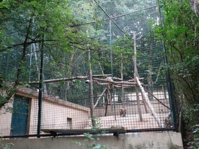 Installation des singes
