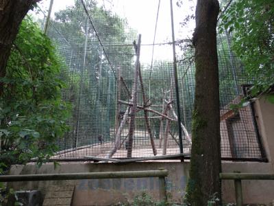 Volière des Singes de Tonkéan