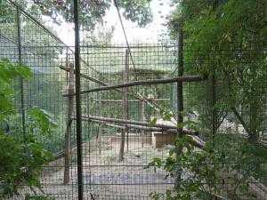 Installation des singes