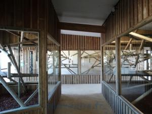 Maison des singes sud-américains