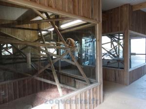 Maison des singes sud-américains