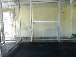 Loge: Tapir terrestre