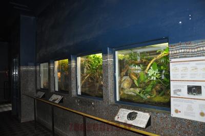 Série de terrariums - 2016