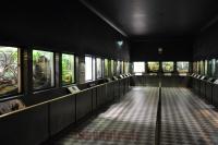 Vivarium