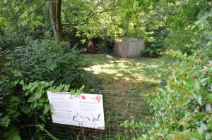 Grue de Paradis 