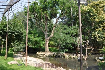 La grande volière - 2016