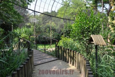 La grande volière - 2016