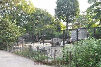 Chèvre des montagnes rocheuses - 2016