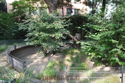 Écureuil des rochers - 2016