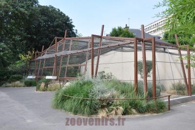 Outarde houbara - 2016