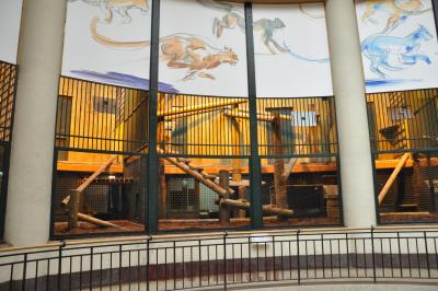 Loges intérieures des fauves - 2016