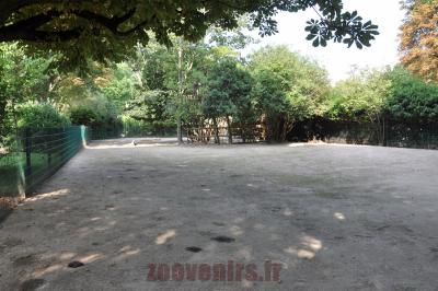 Kangourou géant - 2016