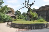 Ancienne présentation extérieure de singes