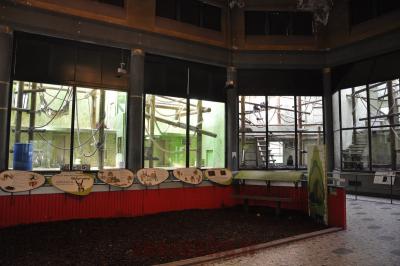 Présentation intérieure des singes - 2016