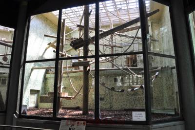 Loge intérieure - 2016