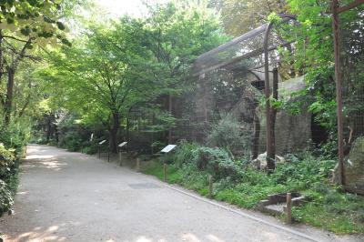 Volières des rapaces nocturnes - 2016