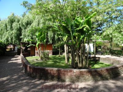 Tortue géante des Seychelles - 2016