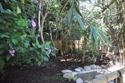 Volière pénétrante - 2013