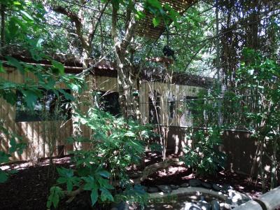 Série de volières pénétrantes - 2013