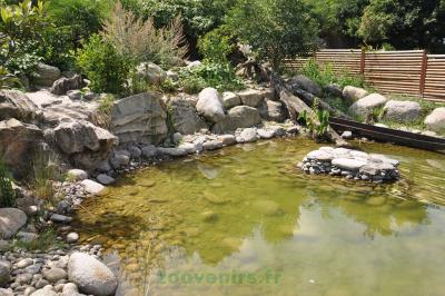 Loutre d'Asie - 2013