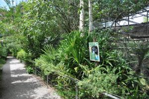 Parcours de visite