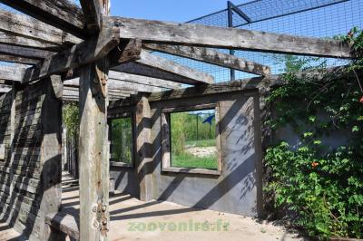 Tigre de Sumatra - 2014