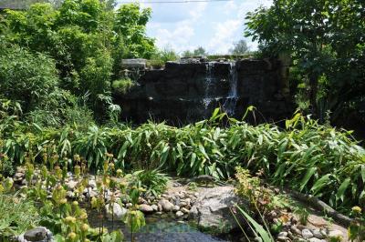 Volière du Nouveau Monde - 2014