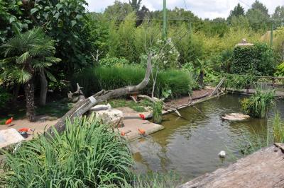 Volière du Nouveau Monde - 2014