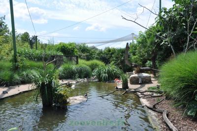 Volière du Nouveau Monde - 2014