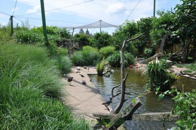 Volière du Nouveau Monde - 2014