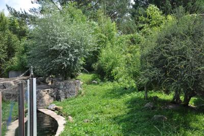 Loutre d'Asie - 2014