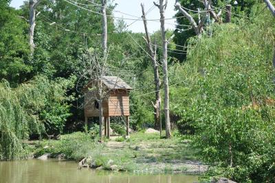 Gibbon à mains blanches - 2014